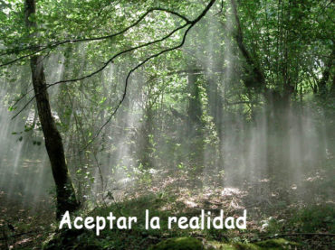 Aceptar la Realidad